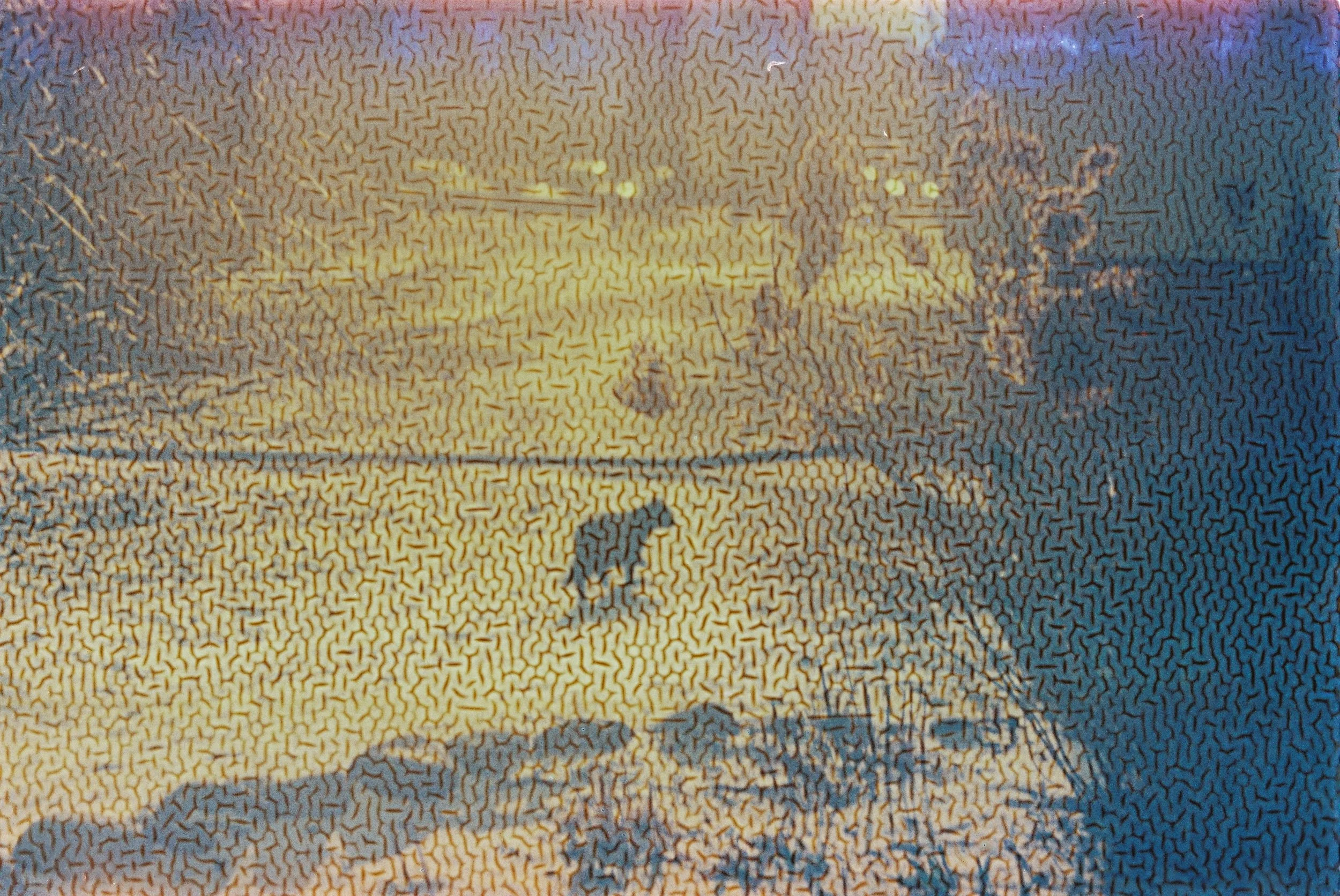 PHSQUAT124804011.JPG