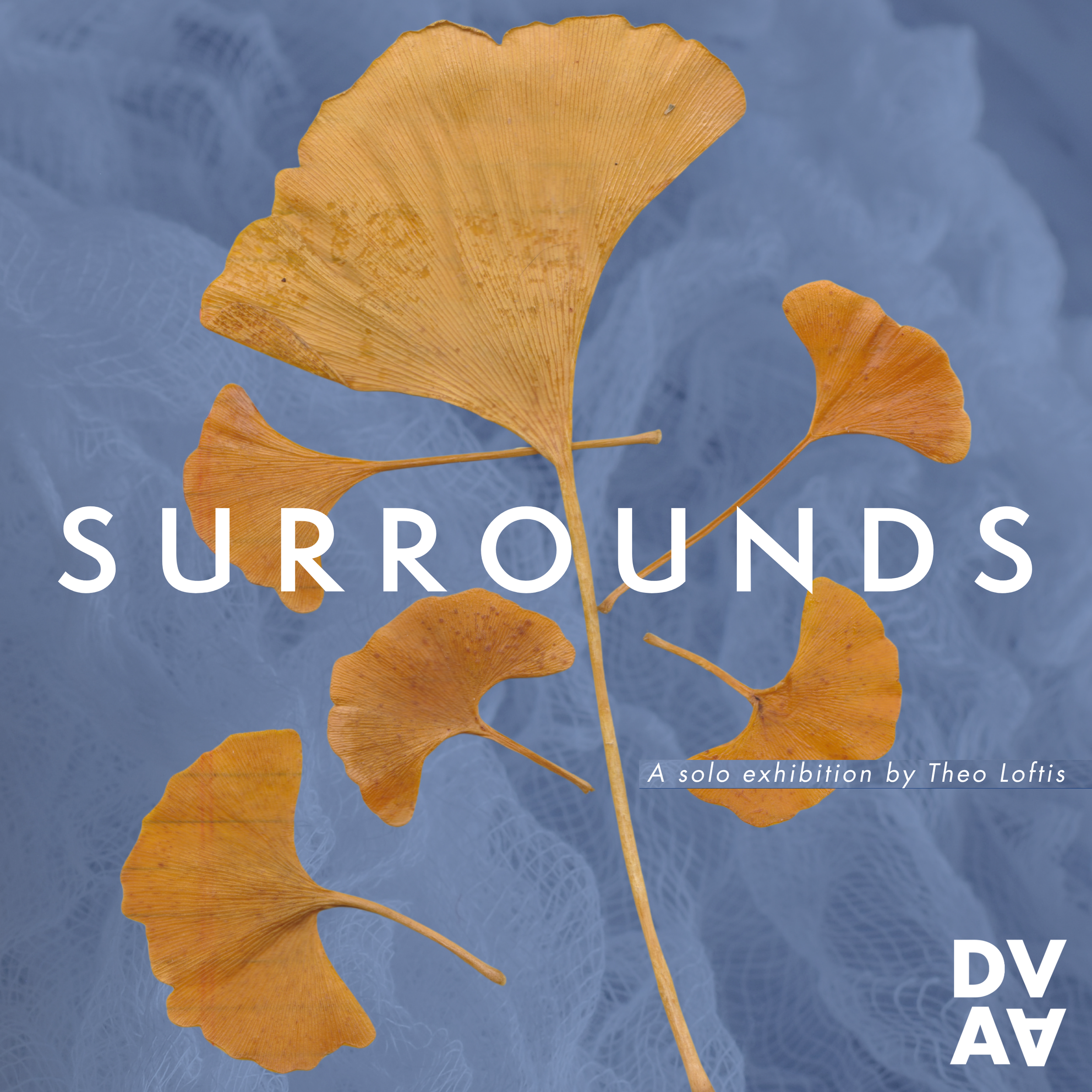Surrounds