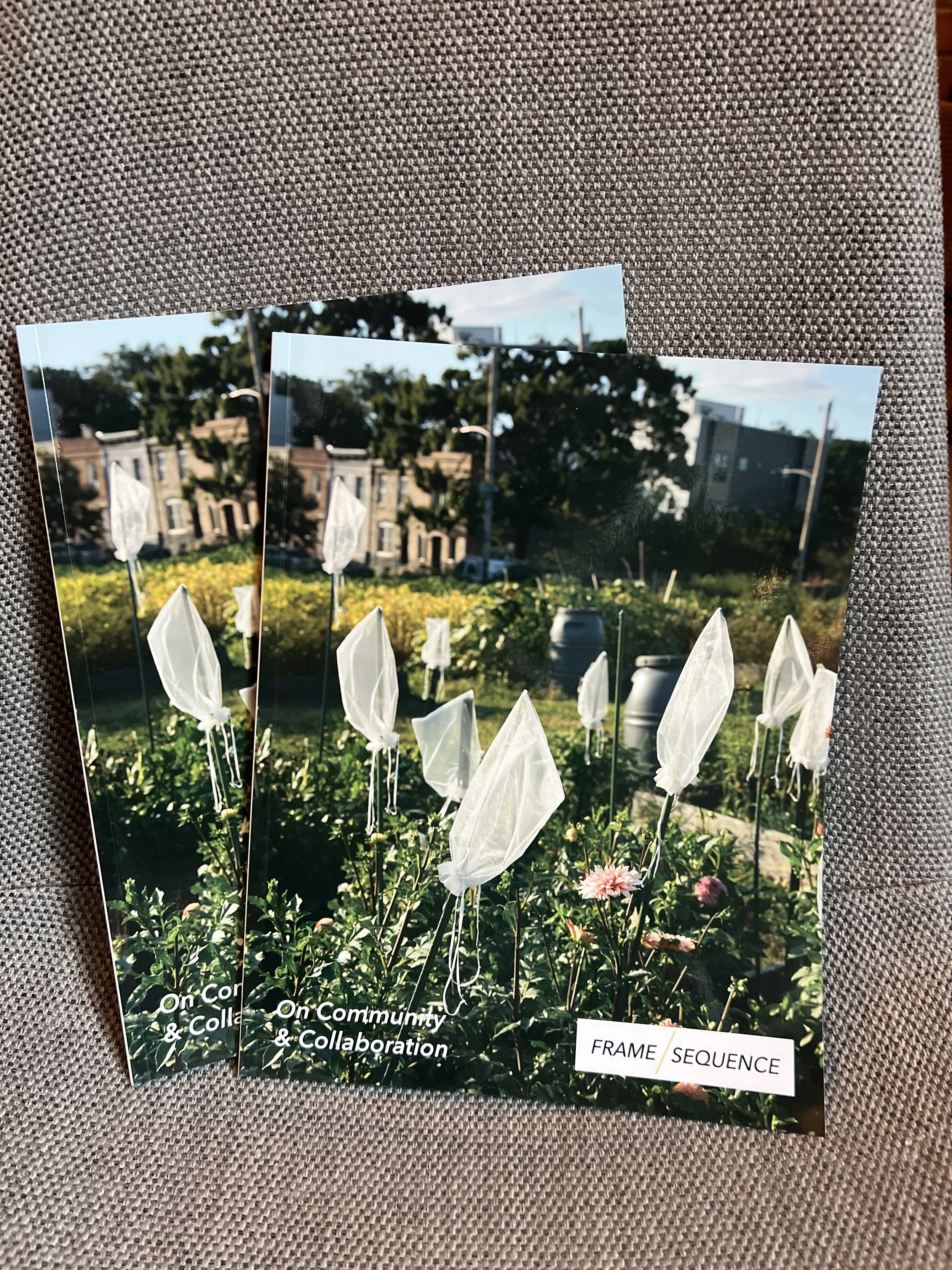 Frame/Sequence Issue 3: On Community and Collaboration by Lily Colman