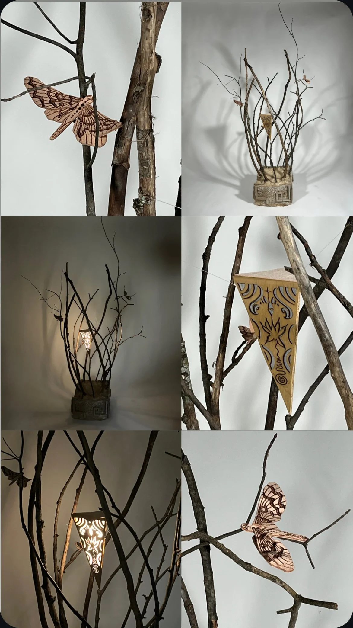 IMG_3811 - Iris Hergenrother.jpeg