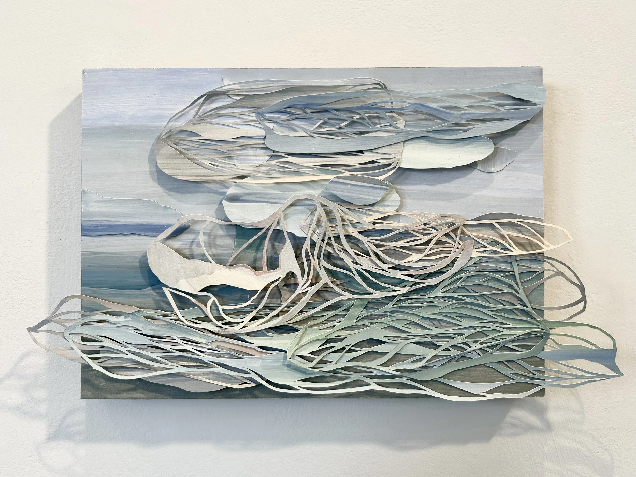 June 4th, 2024, 11:22 by Alicia Finger