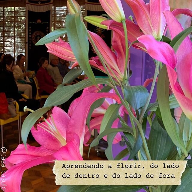 A constante e perfeita troca que a natureza nos proporciona

#lifestylecasulo