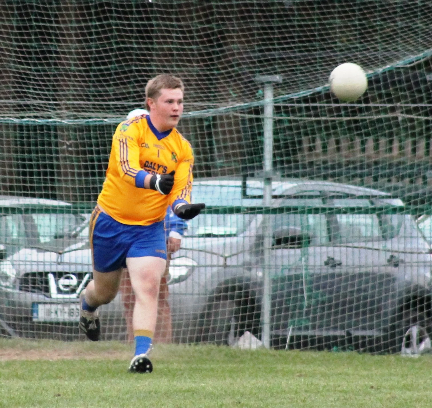 spa adam herlihy.JPG