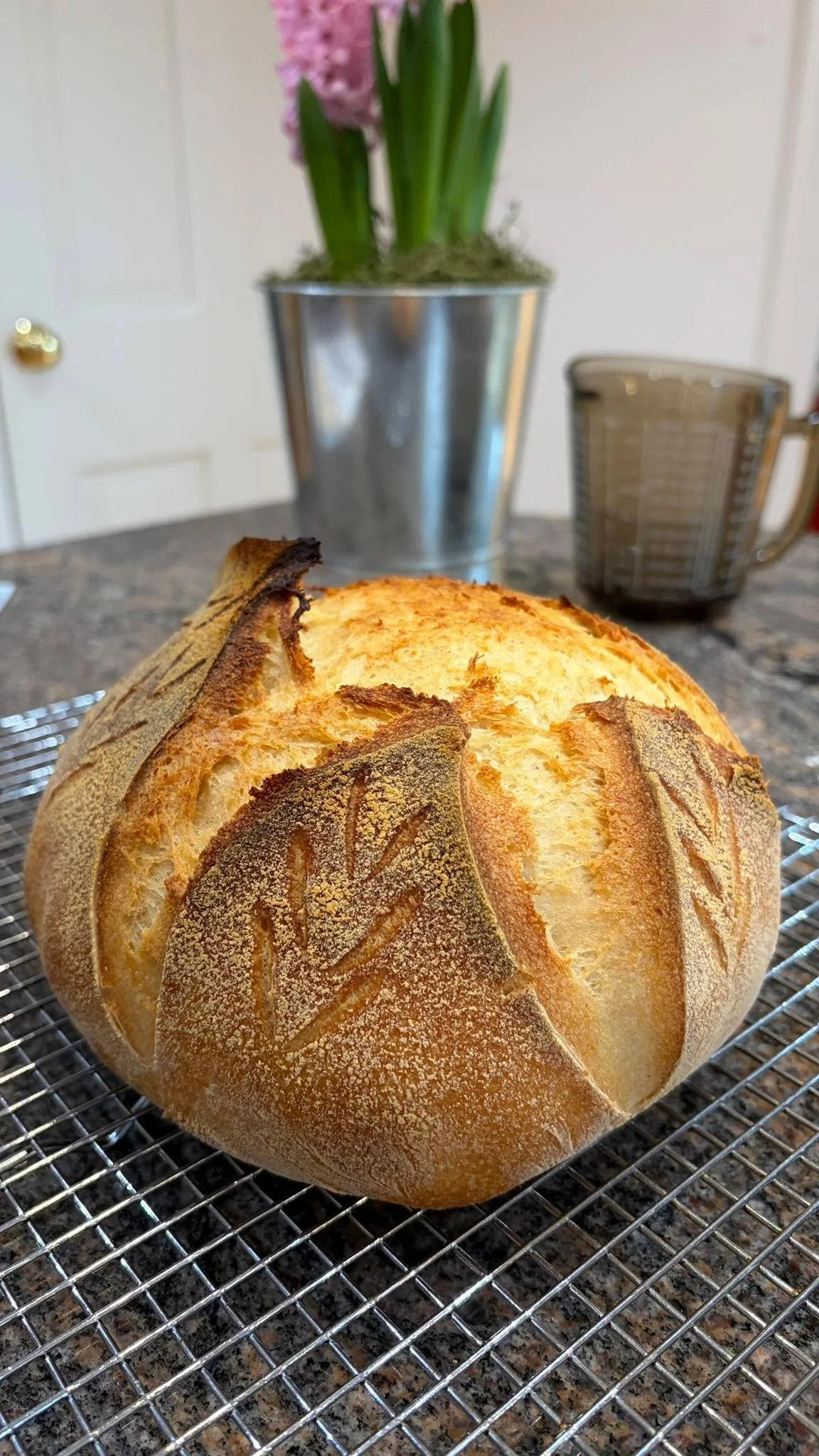 We completely maxed out on space at my last live GF sourdough bread class. And it was phenomenal to practice this sacred art of baking food that loves you back. 

I am thinking about another class at a cool local place. Lmk if you are interested and 