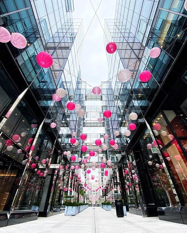 Took the dogs for a car ride (their favorite) and picked up some fresh fish at @dcfishwife. On the way home we took a little detour to see the spring display at City Center. Trying to stay connected to the city from a distance while giving ourselves 