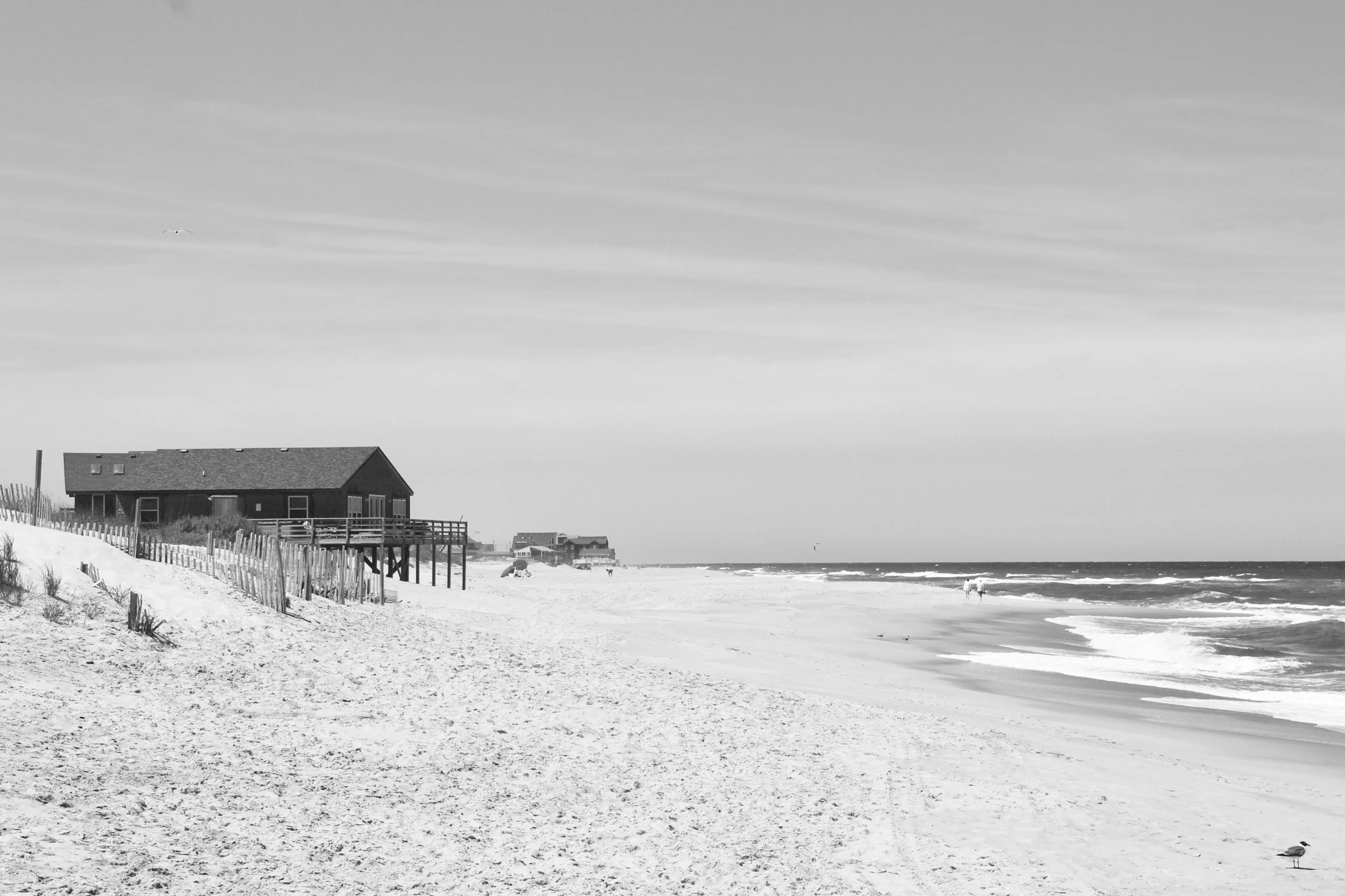 Souvenir du Cape Haterras