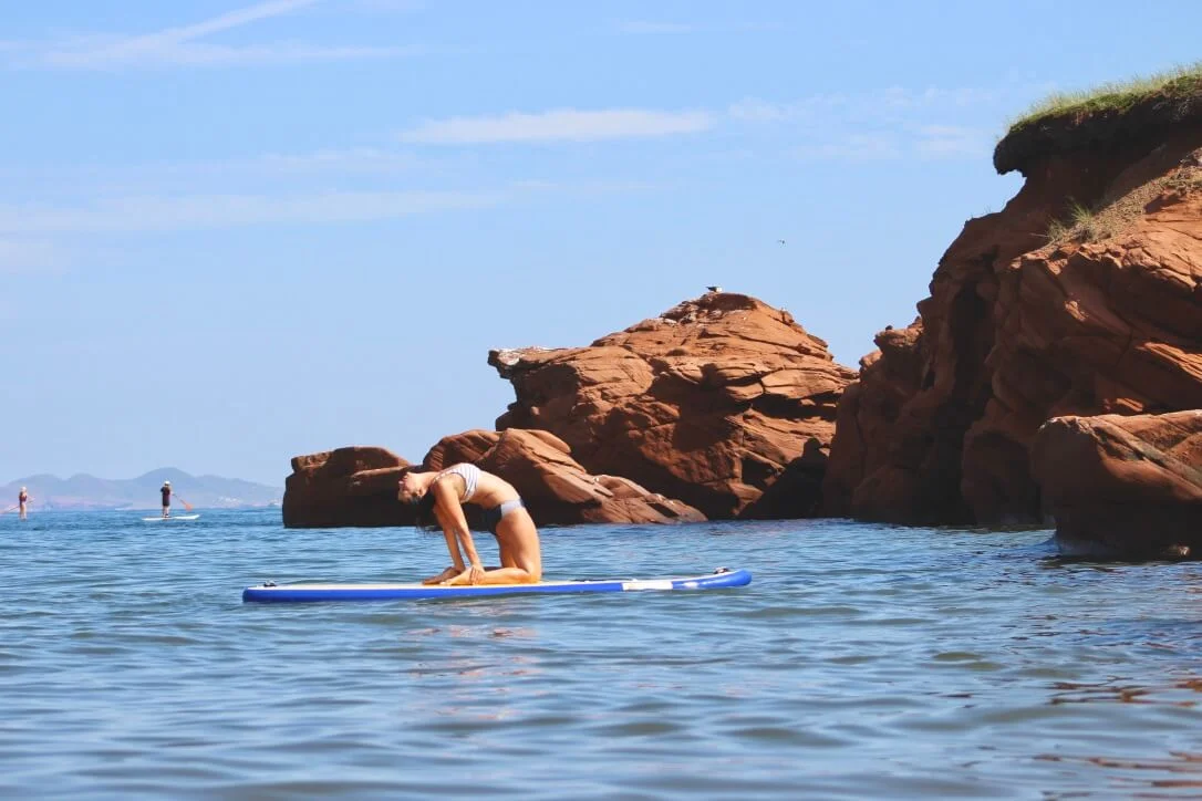 Un paysage en mutation 