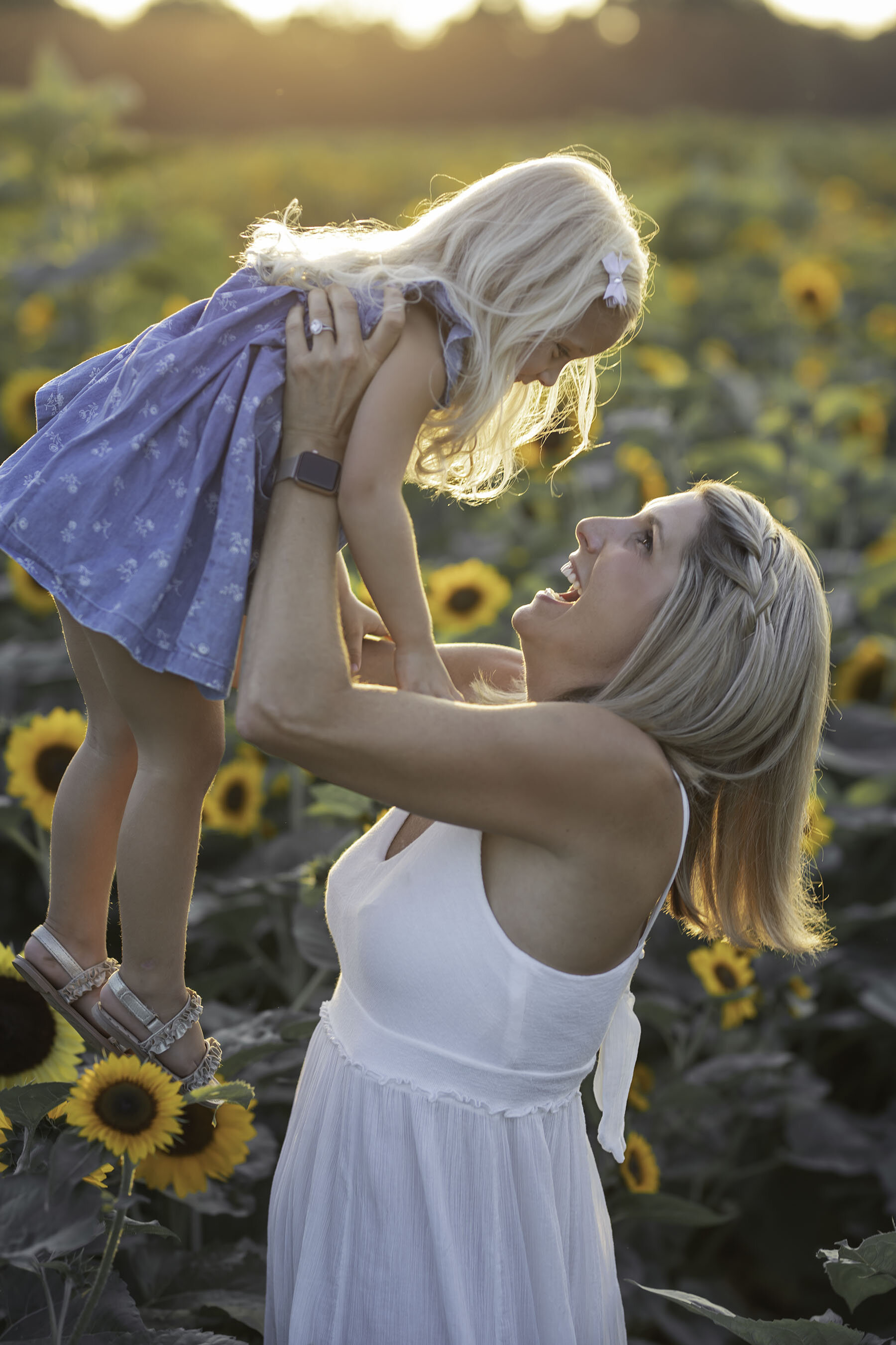 Sunflower-3 web.jpg