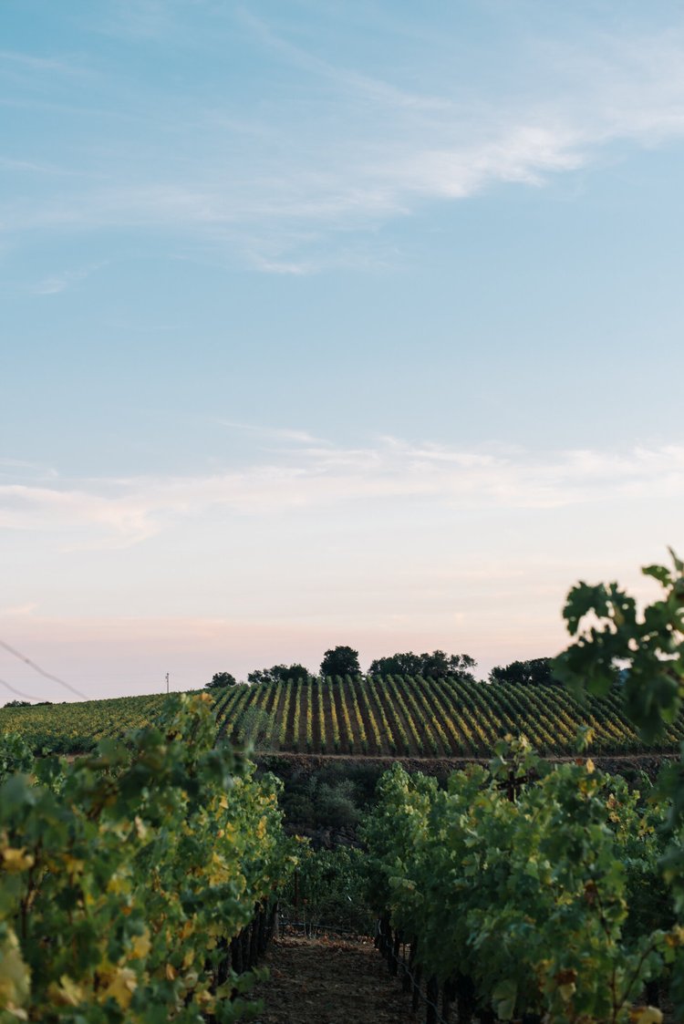 The Team — Hoopes Vineyard