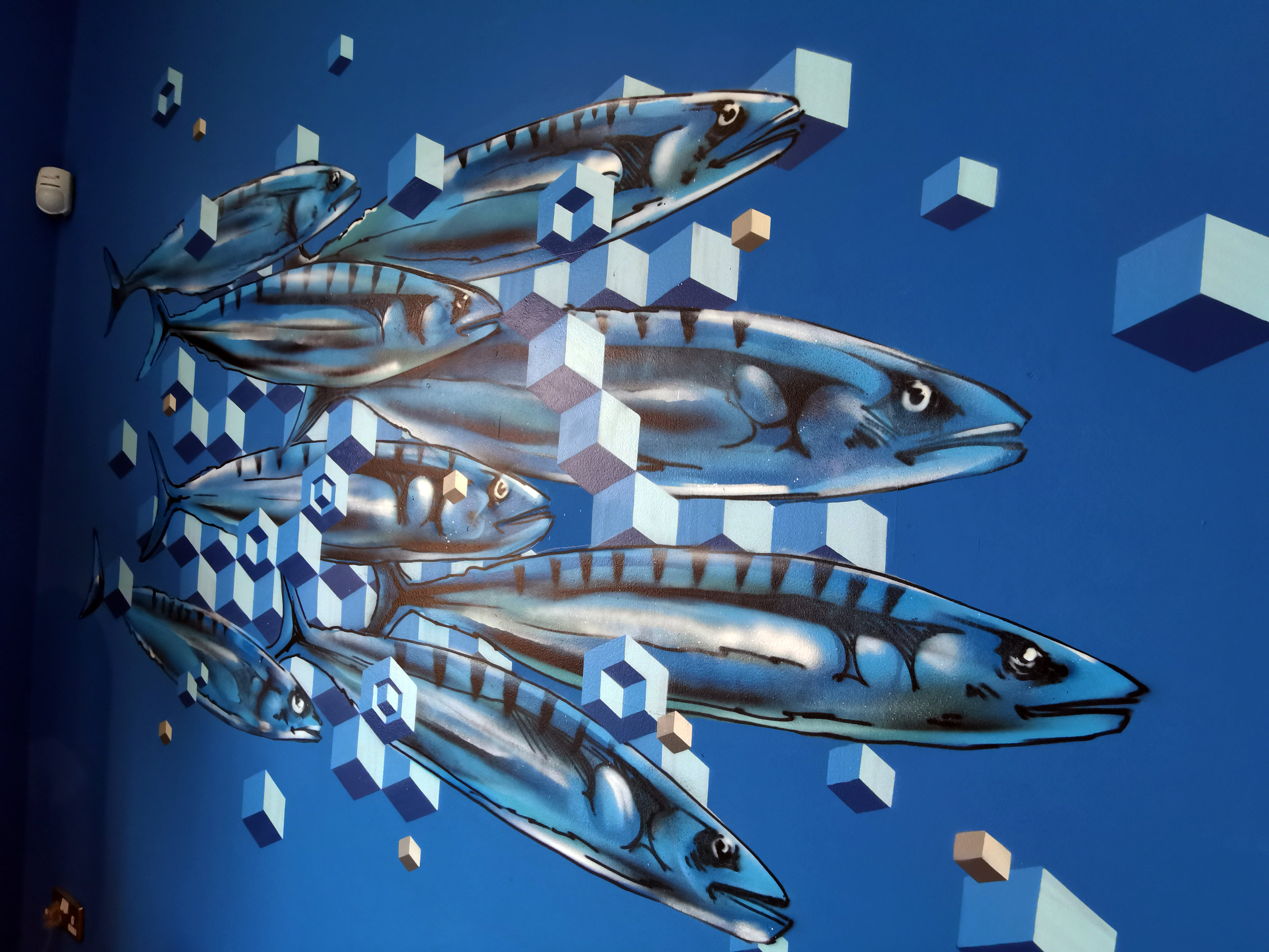 Mackerel close up