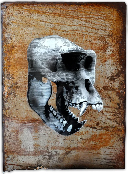 To tie in with my little show in Lewes the editor of VIVA LEWES asked me to work on some cover art for them. Not being one to make it easy on myself I set to work on a detailed stencil to fit with there feature on Piltdown man . Pick up a copy and see the original over at the Print Rooms in Lewes during the next month.