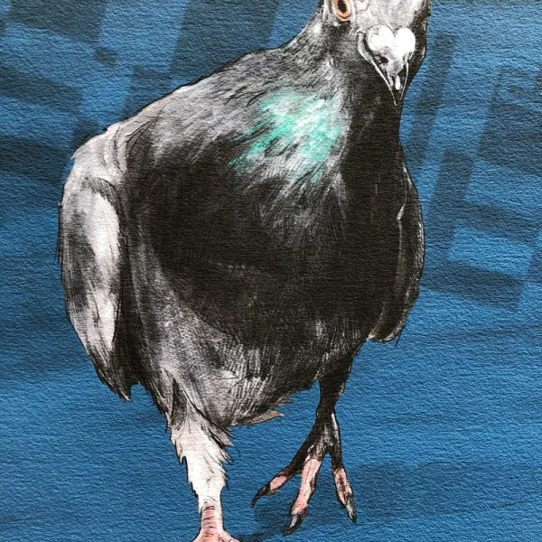 sky-rat-004-600x600.jpg