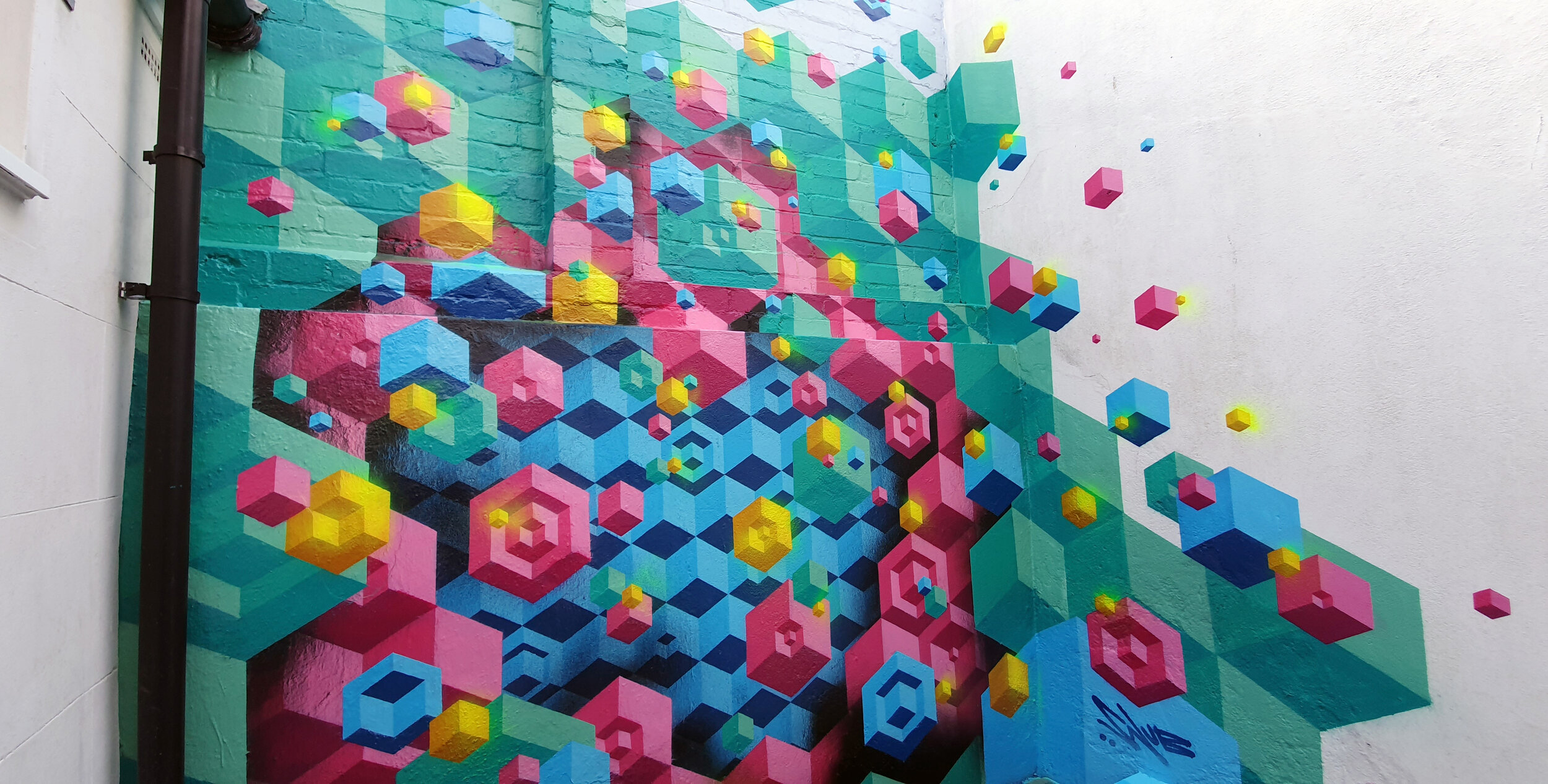 SNUB23 BRIGHTON GARDEN MURAL COMMISSION 2020