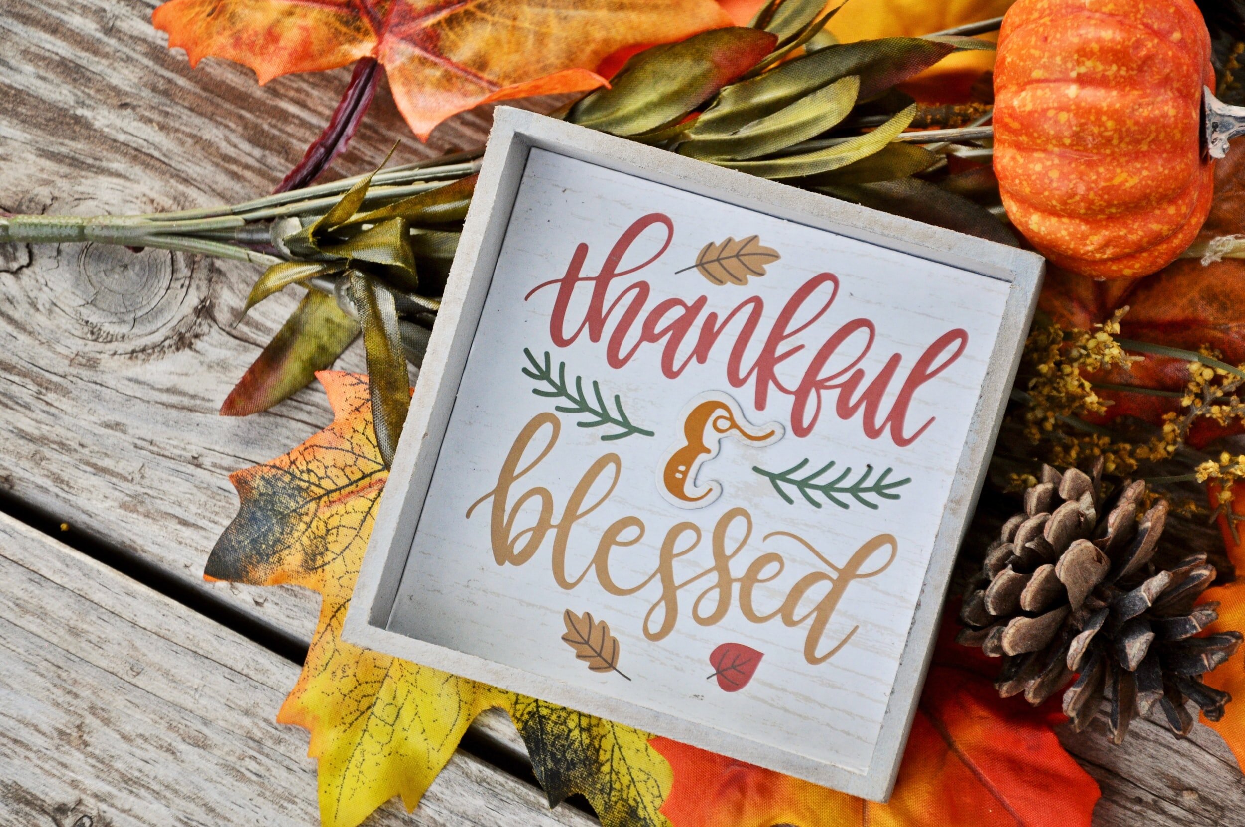 Thanksgiving