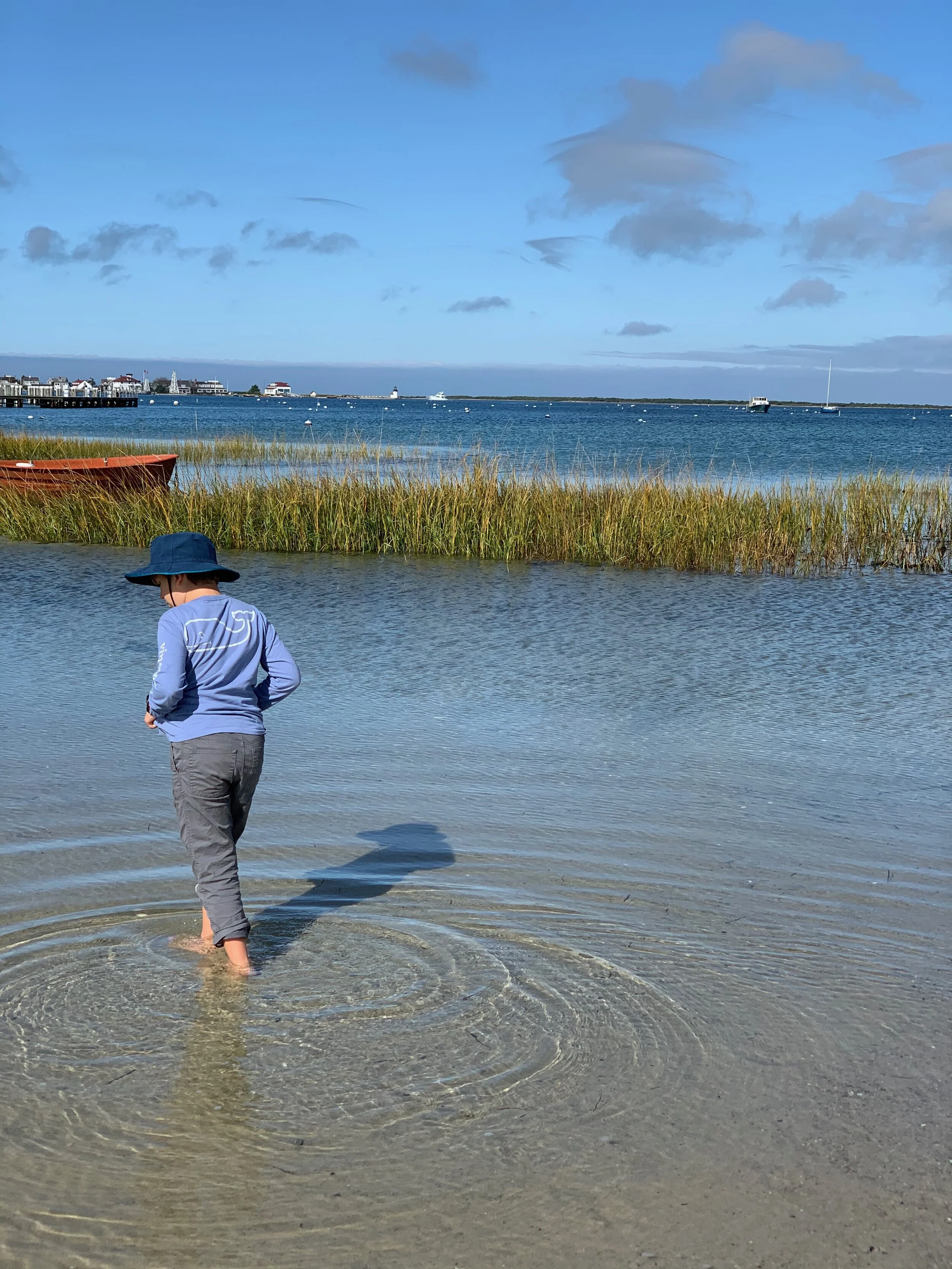 Science at the beach