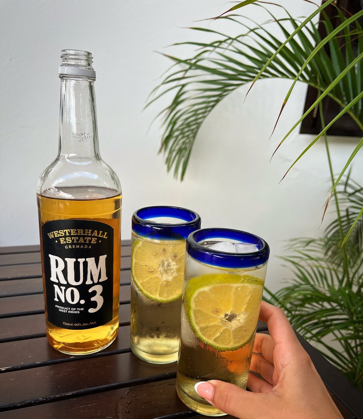 Saturday decisions including Rum No. 3 🤩