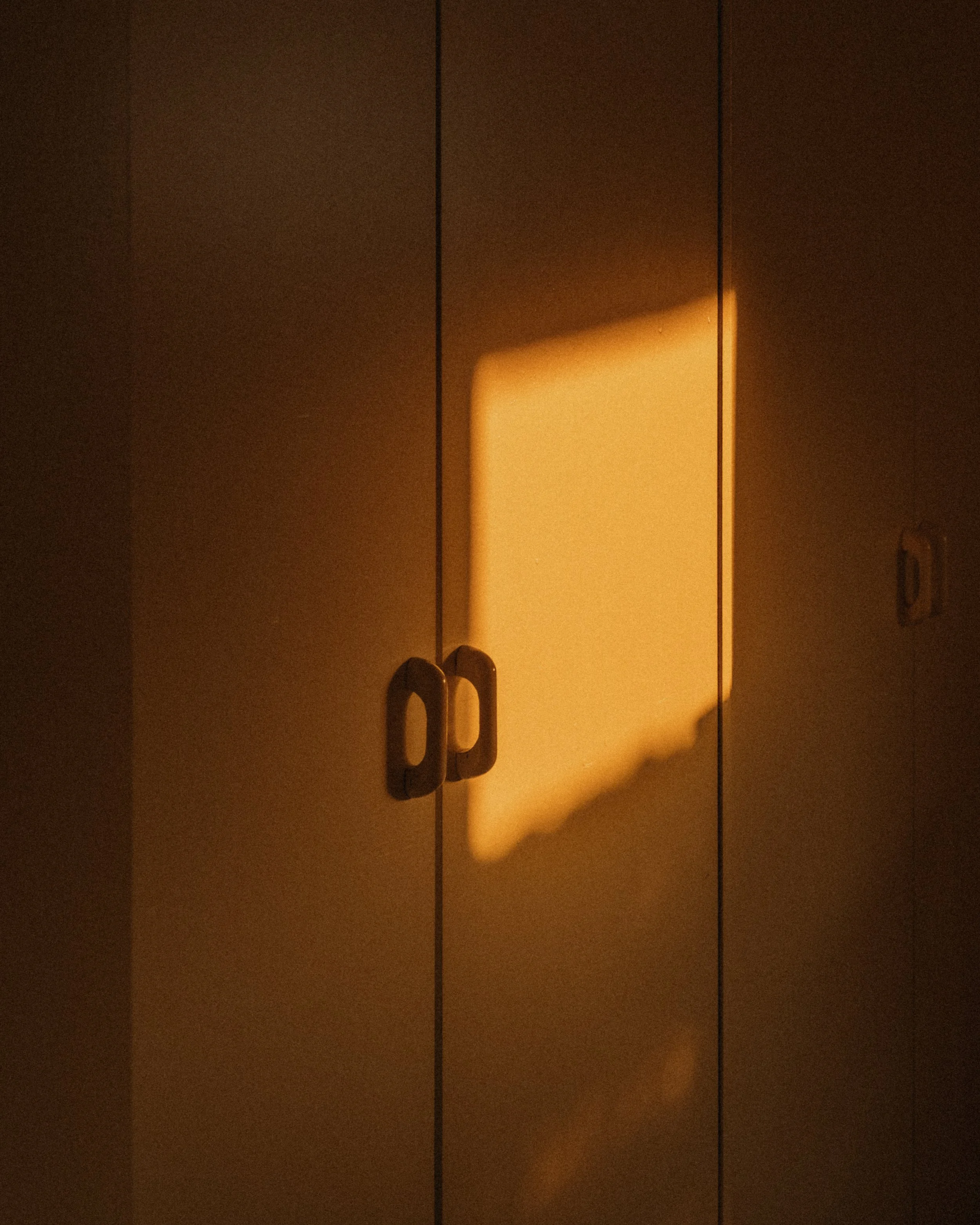 _DSF7549.jpg