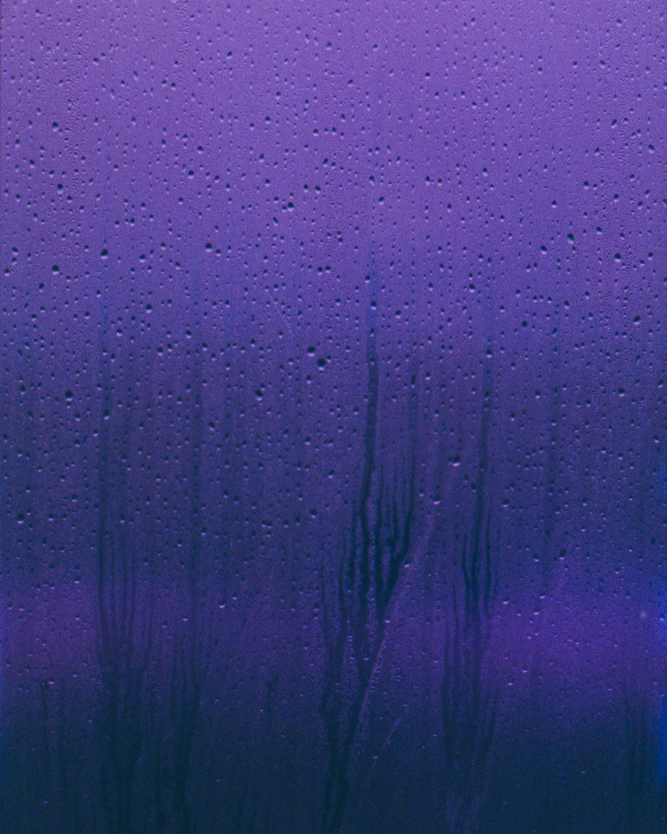 Scan046.jpg