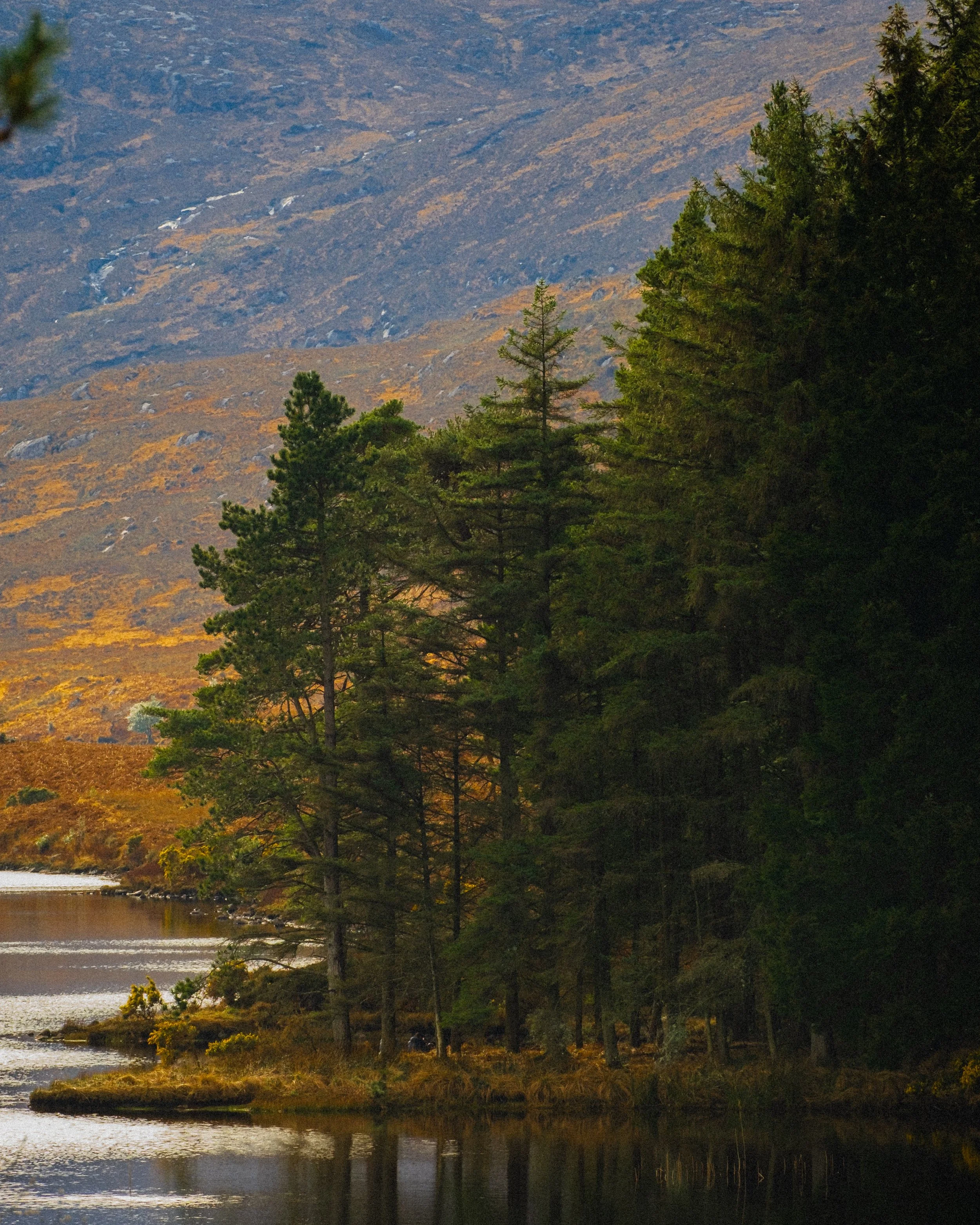 Donegal-2025-30.jpg