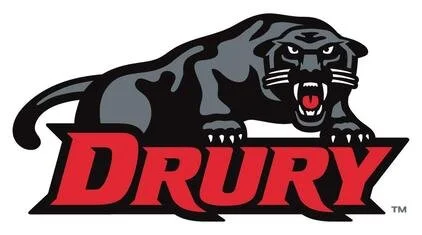 Drury_Panthers_logo.jpeg