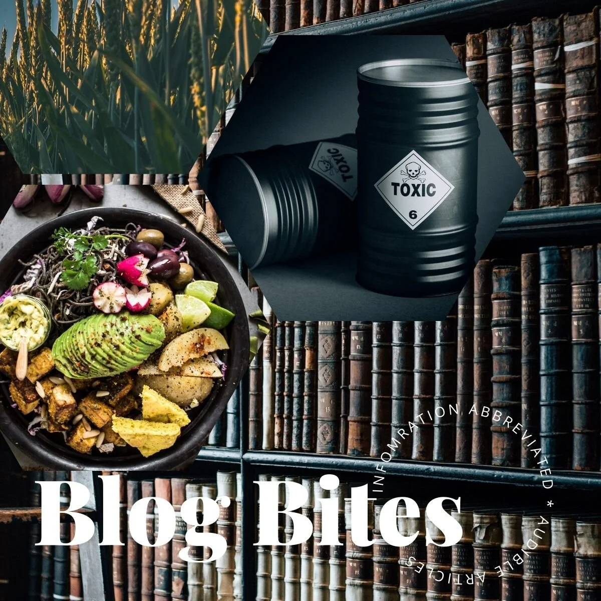 Blog Bites Album Art.jpg