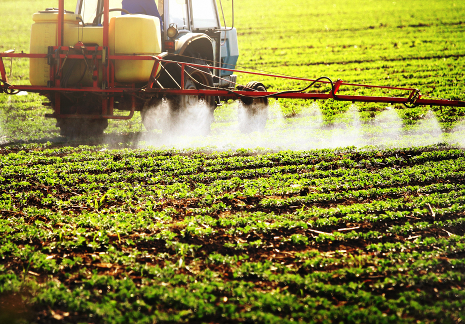 Neonicotinoids: Death in the Dirt?