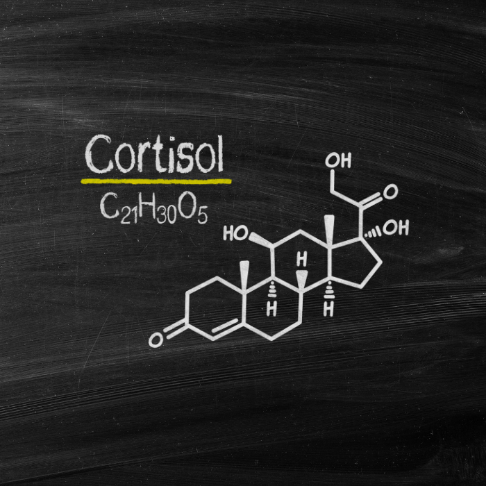 Cortisol: The Stress Police