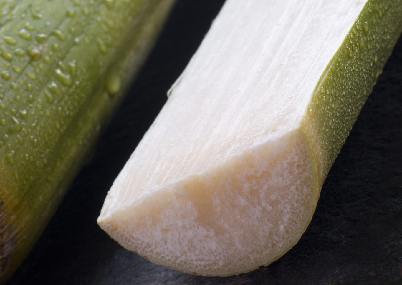 Let’s talk about Bone Char. — Consumer Products Association