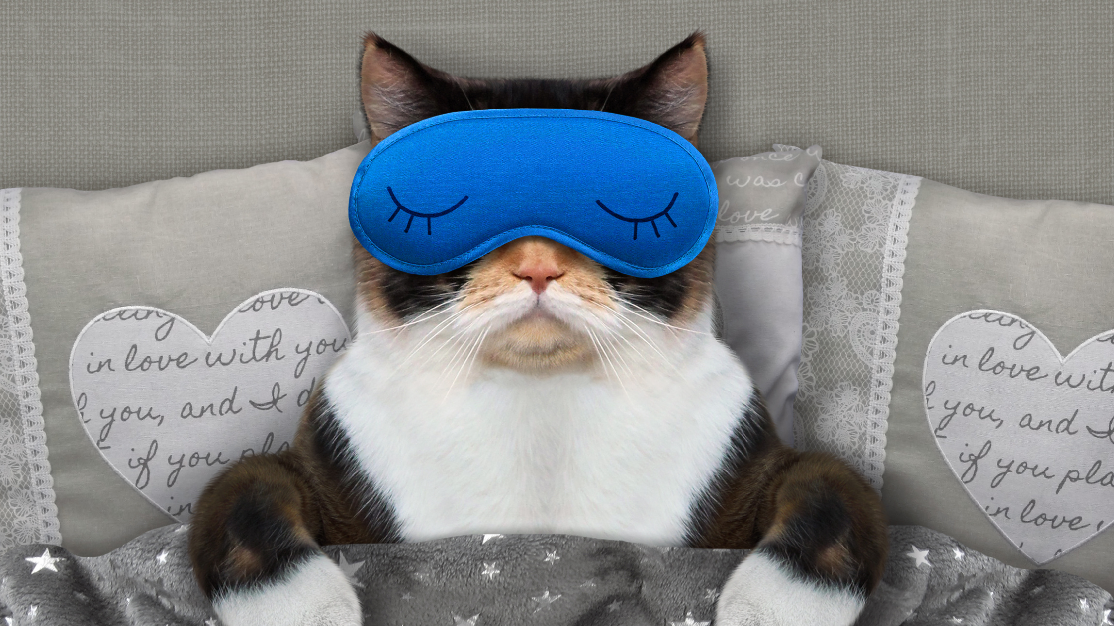 Sleep Article # 1 (1).png