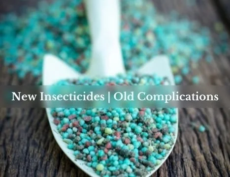 New Fertilizers, Old Complications (1).jpg