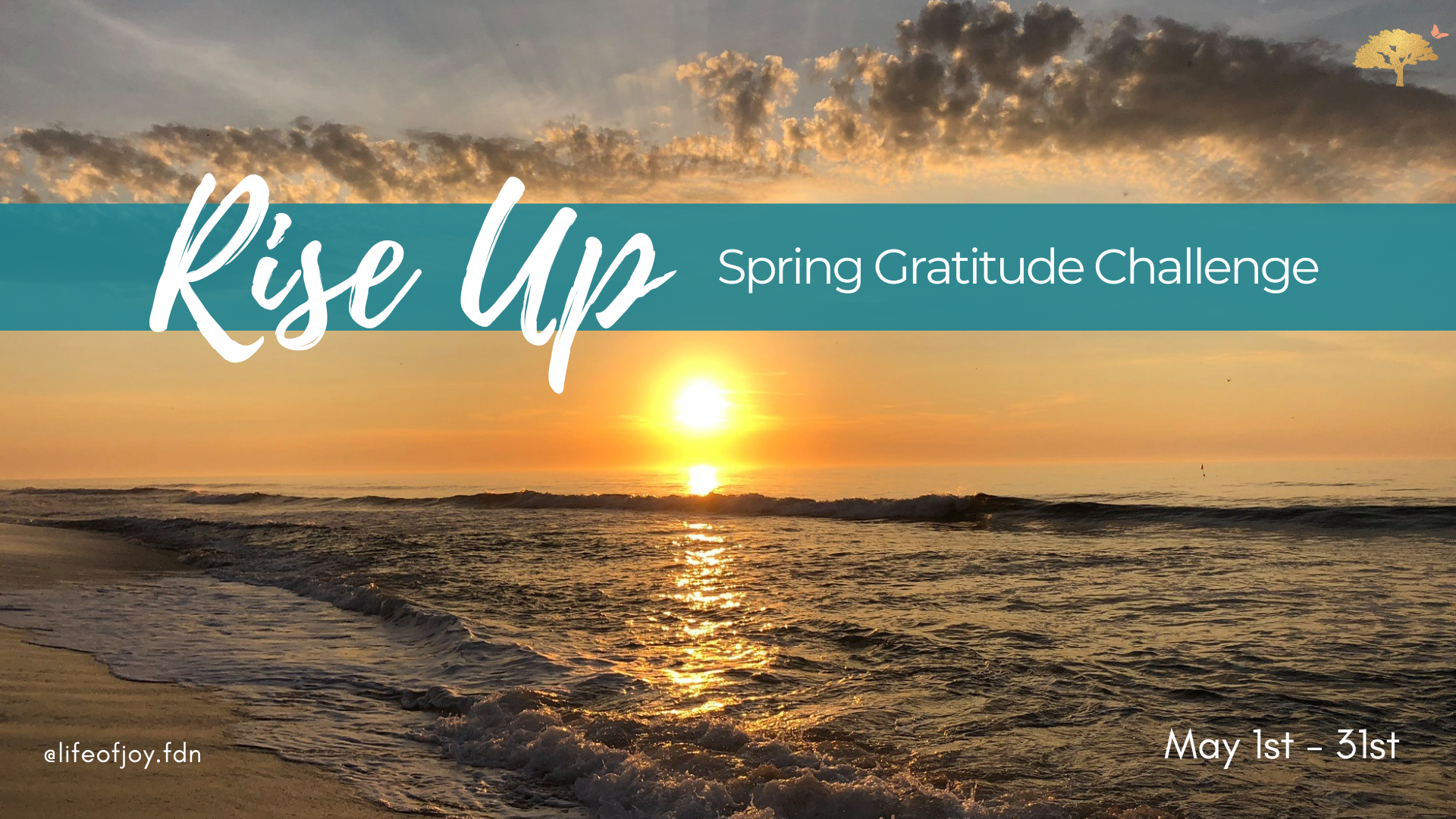Rise Up Gratitude Challenge