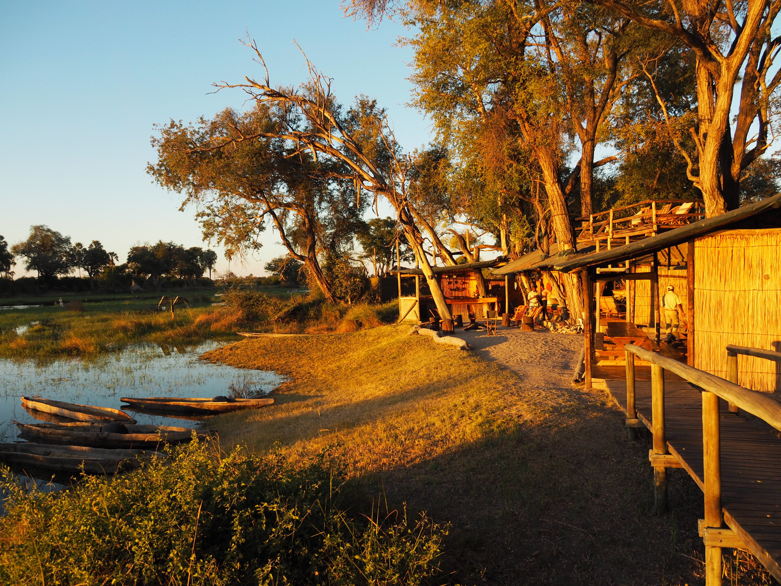 Mokoro Abenteuer im Okavango Delta
