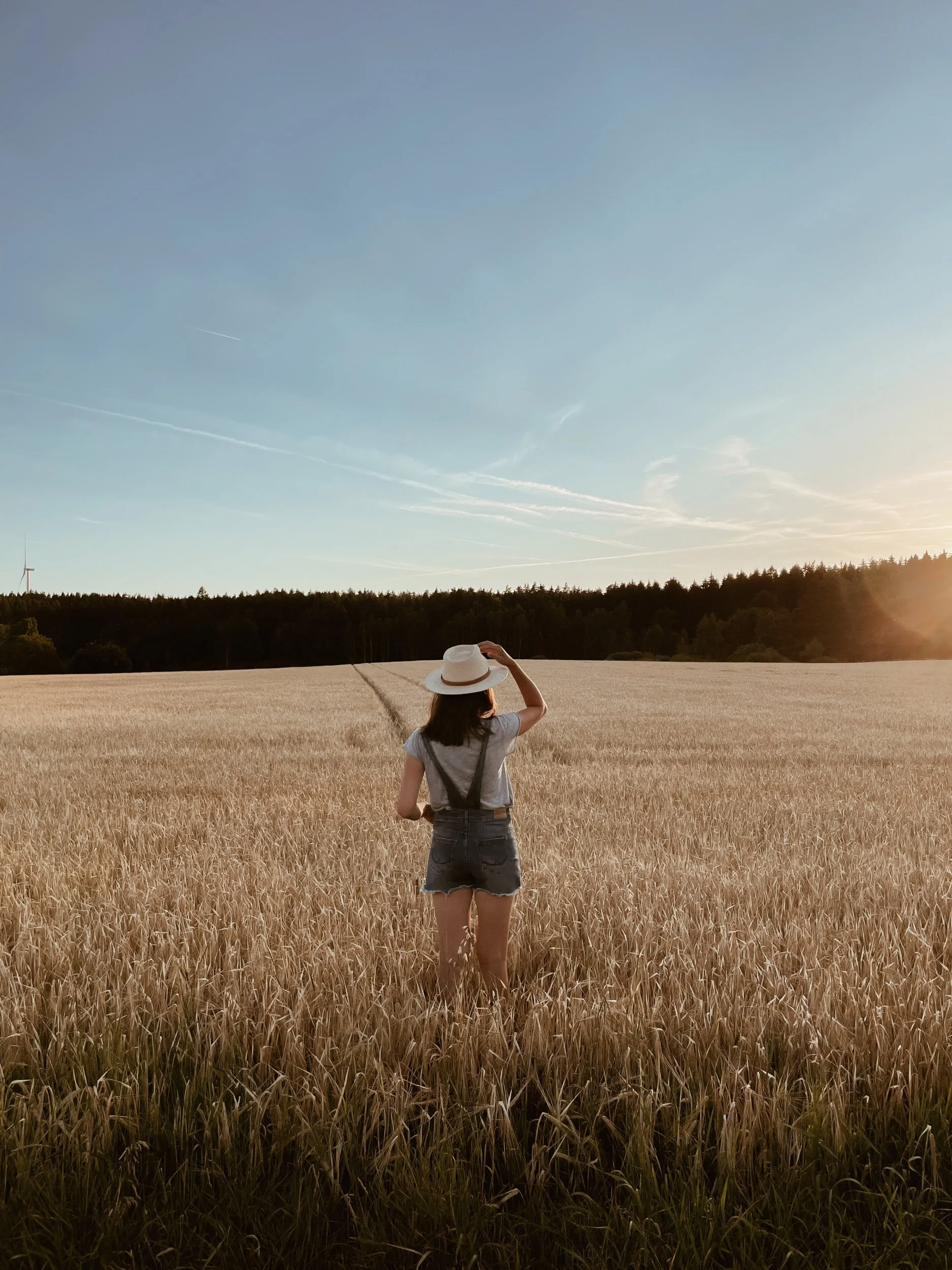 Von Berggipfeln zu Getreidefeldern