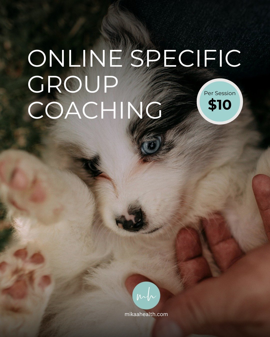 When a pet passes, the world keeps moving, but your heart may not be ready.
If you&rsquo;re experiencing pet loss, this group was created specifically for you.

- 2nd Wednesday of every month.
- 2 PM PDT.
- $10 drop-in.

Inside this coaching circle, 
