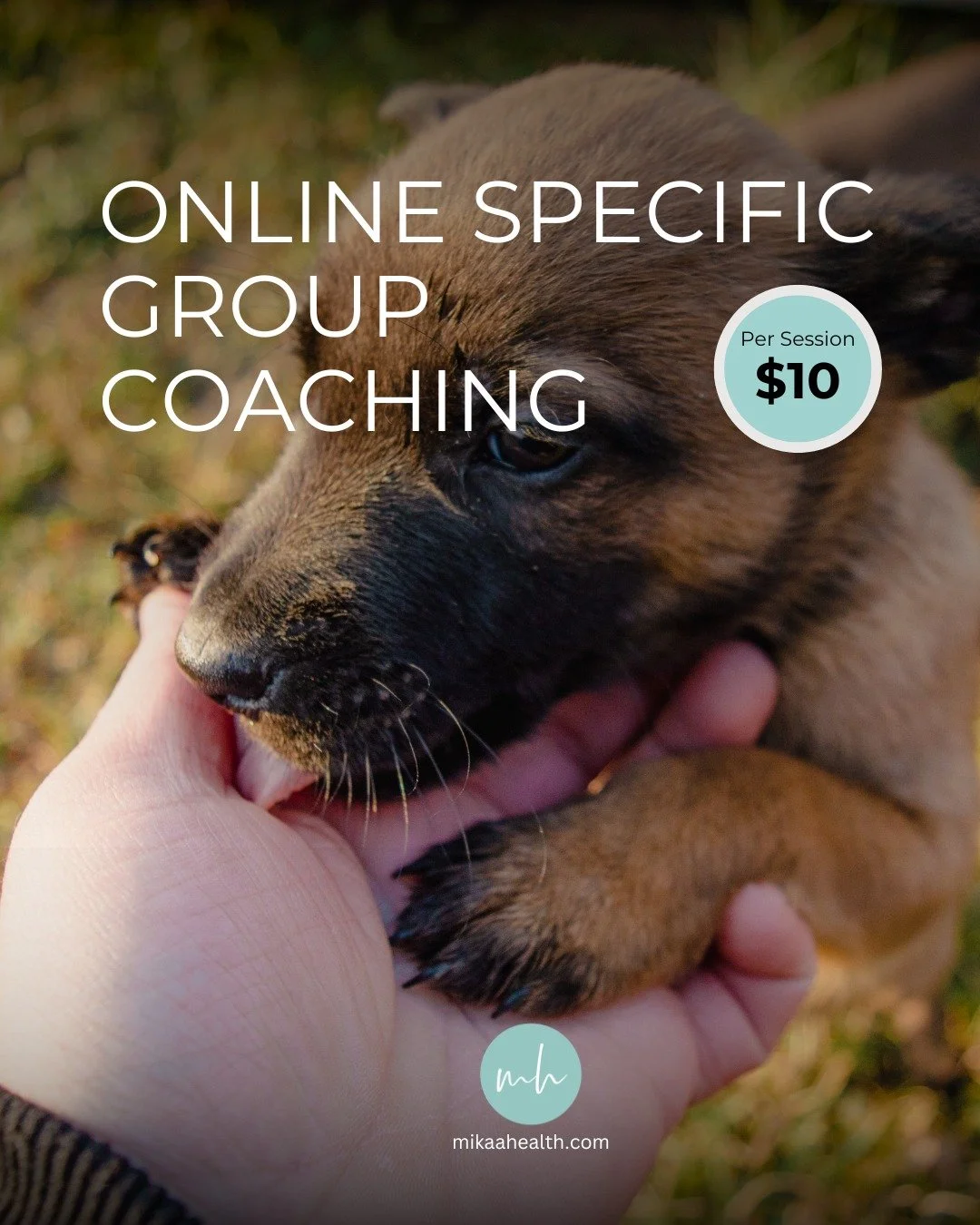 Anticipating the loss of a beloved pet can bring a mix of emotions, sadness, fear, guilt, and deep love. It&rsquo;s a unique kind of grief that deserves care and support.

That&rsquo;s why Mikaa Health offers a Pet Loss Support Group designed specifi