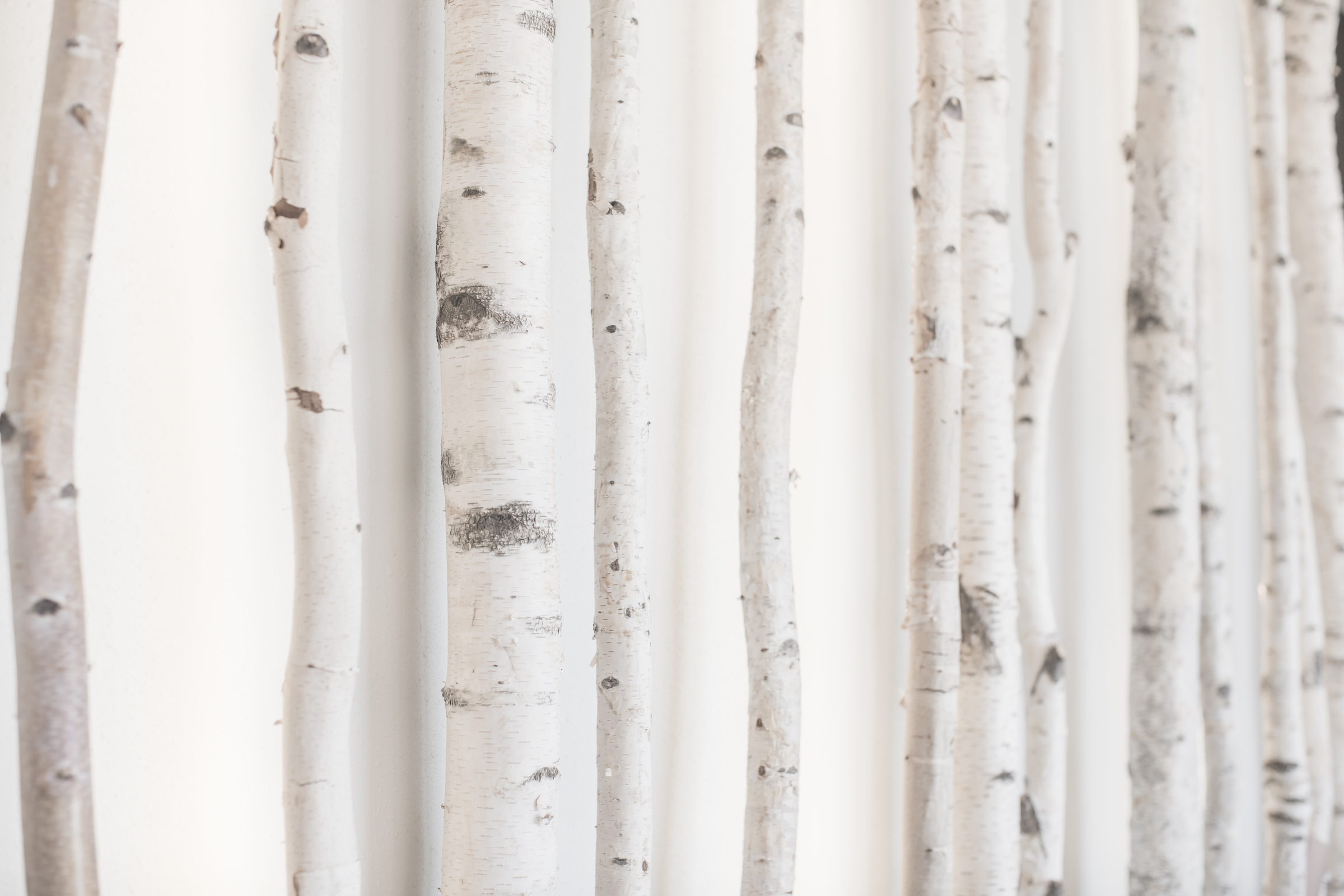 Tree Wall.jpeg