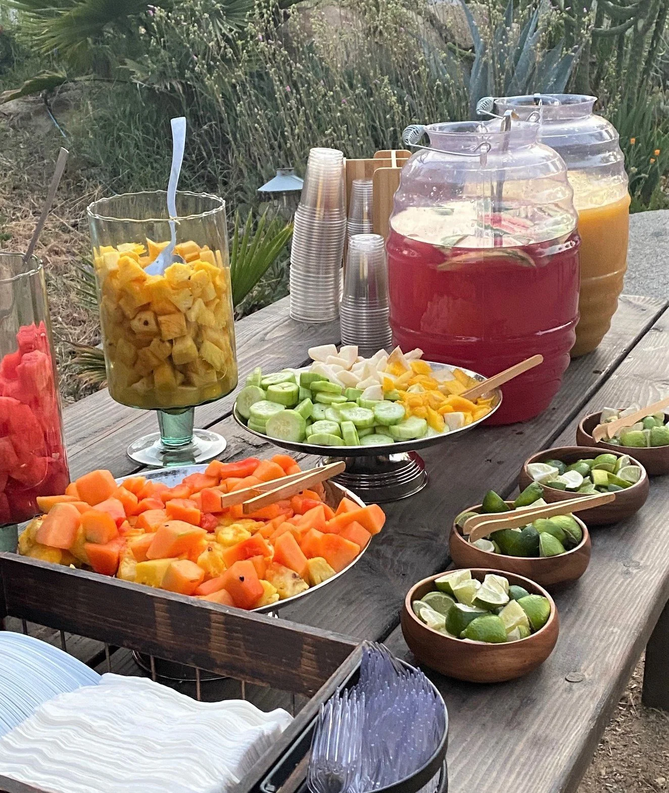 Boutique catering station featuring large glass vitroleros of fresh aguas frescas alongside platters of sliced tropical fruits on a rustic wooden table