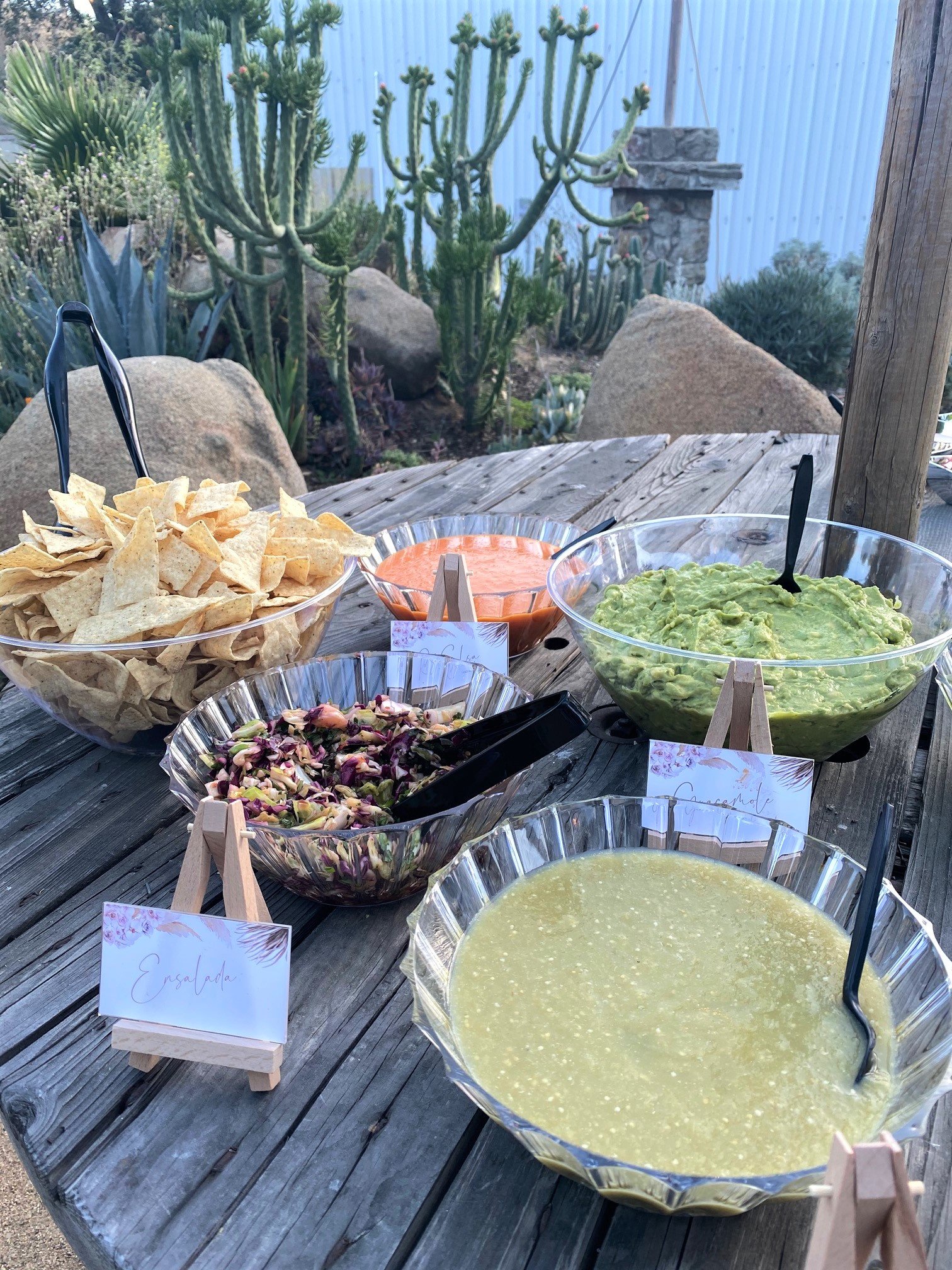 Boutique taco catering salsa bar with fresh guacamole and chips on a rustic wooden table with a desert cactus backdrop
