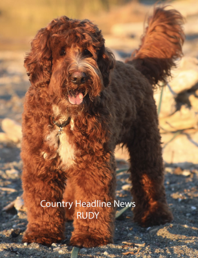 Photo of Stud Rudy