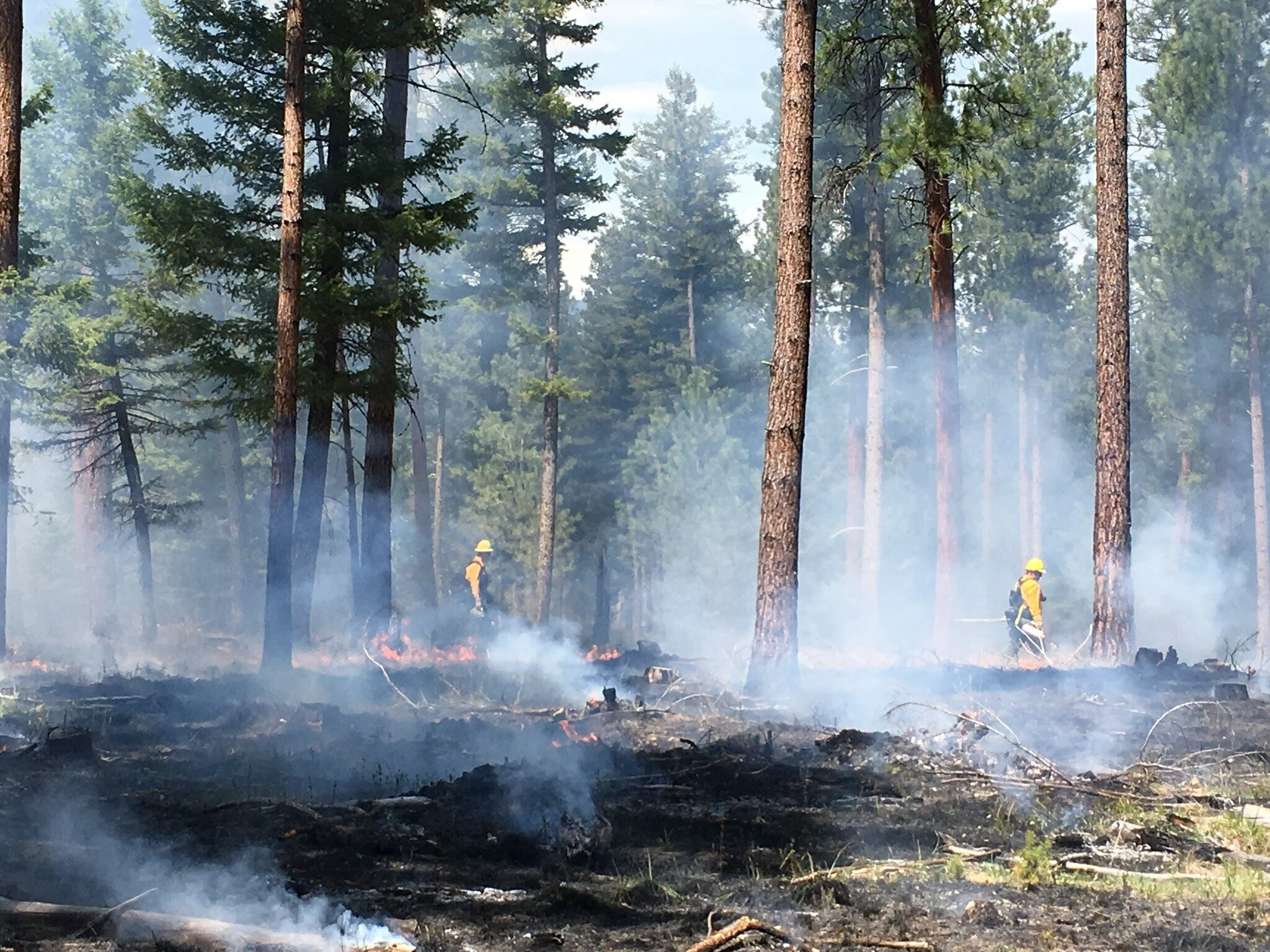 FAMLN March Connection Call - Plan Rx Fire Learning Exchange