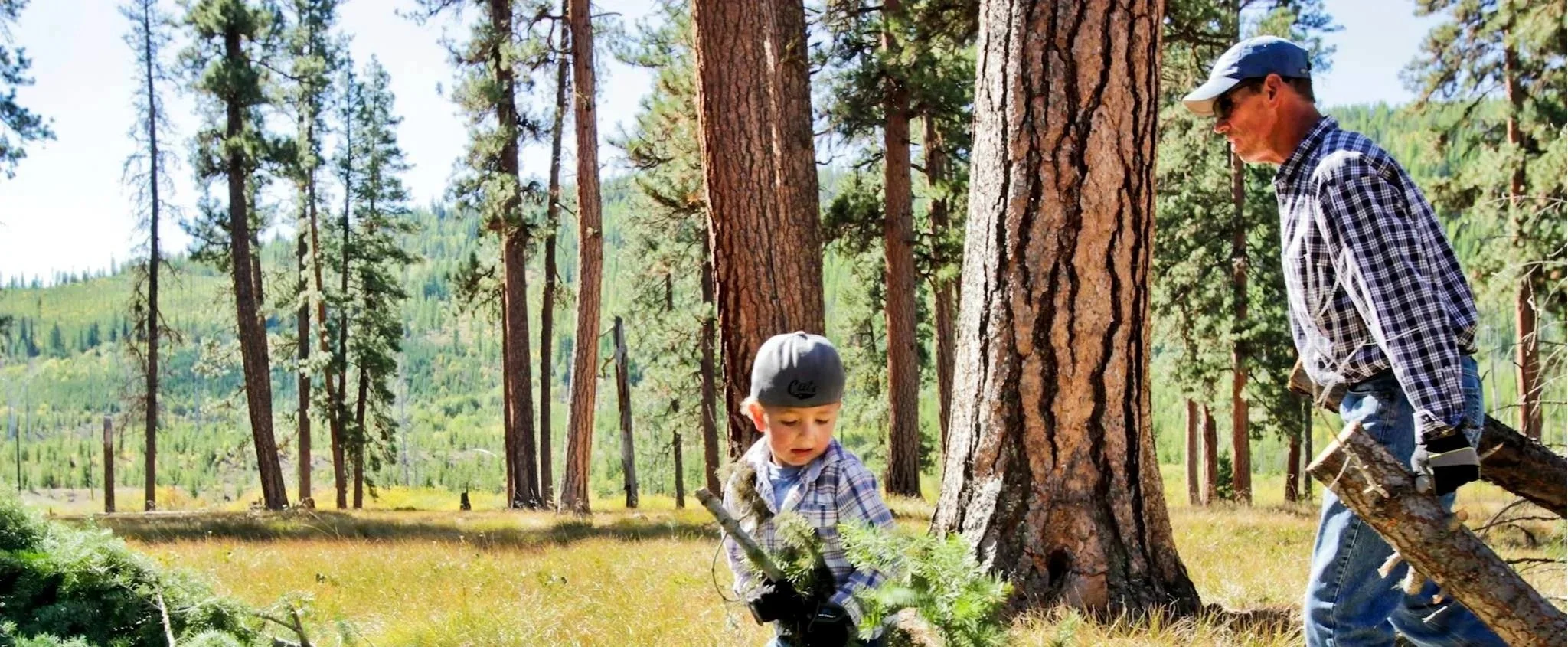 Fire Adapted Montana Learning Network.jpg