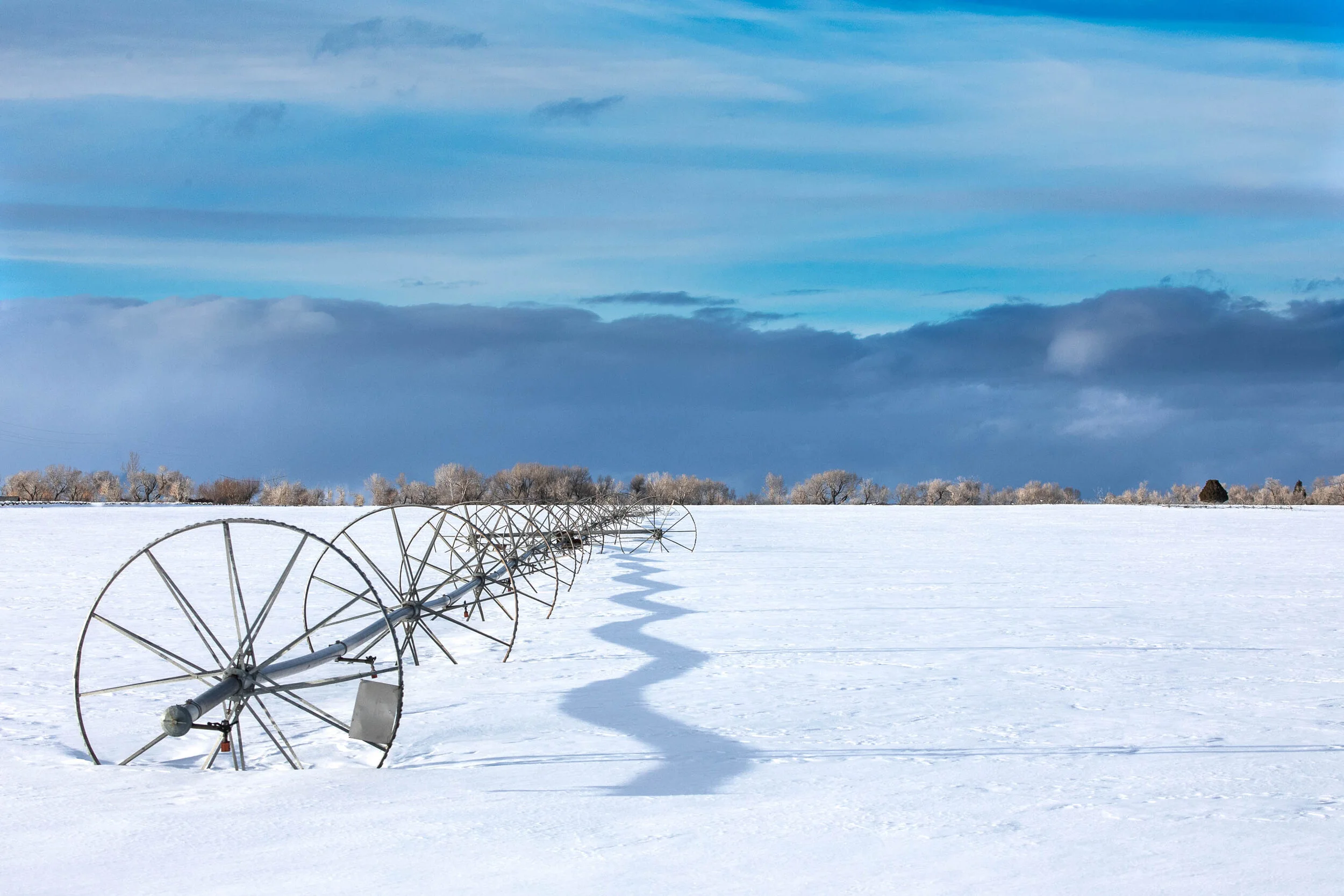 Winter _Furlough_John_Ballard.jpg