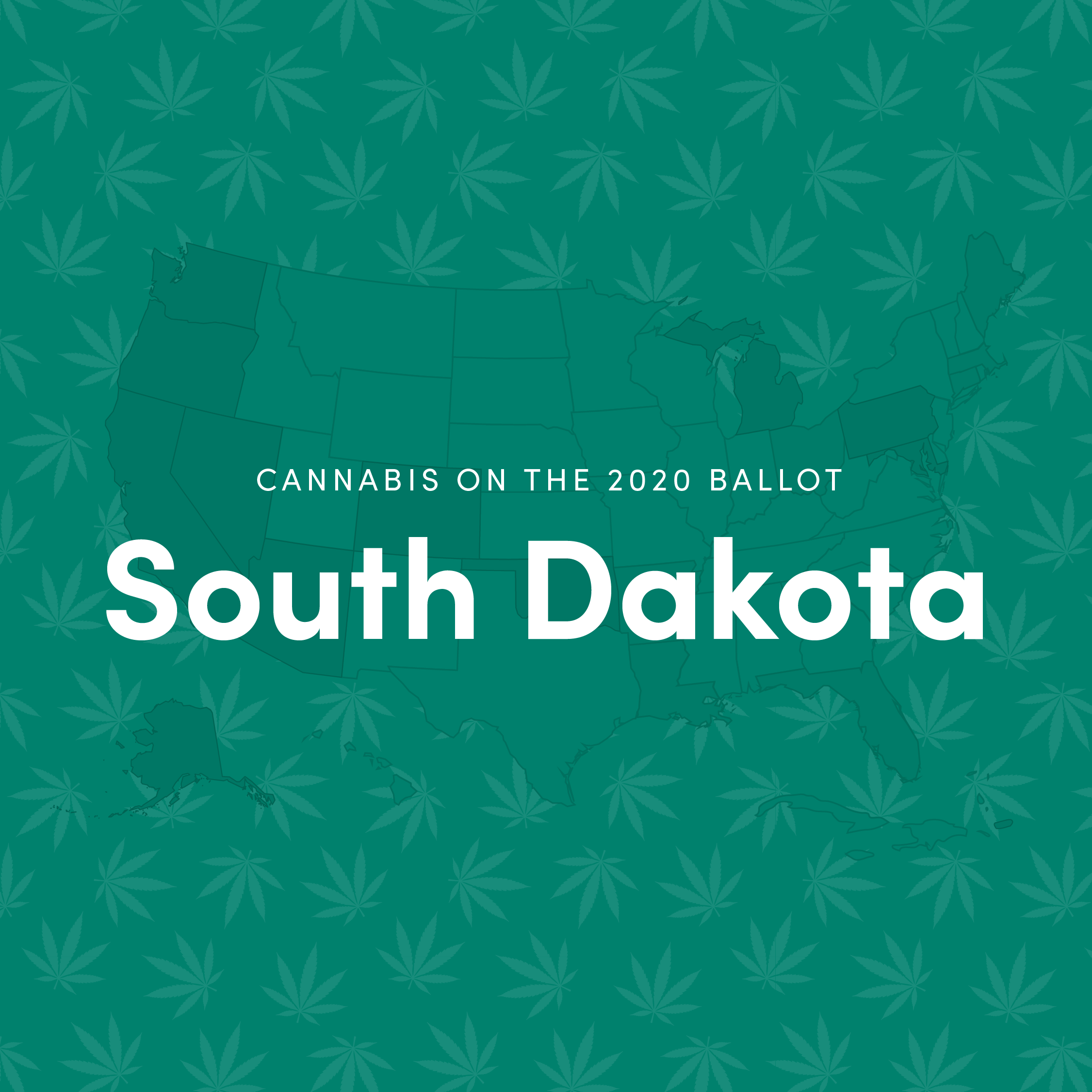 LL_social_election_campaign_SD1.png