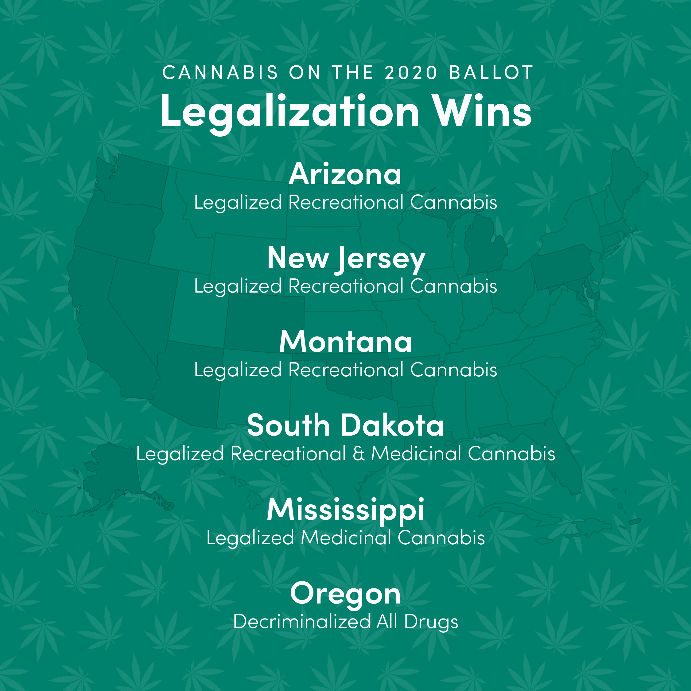 LL_social_election_campaign_wins (1).png
