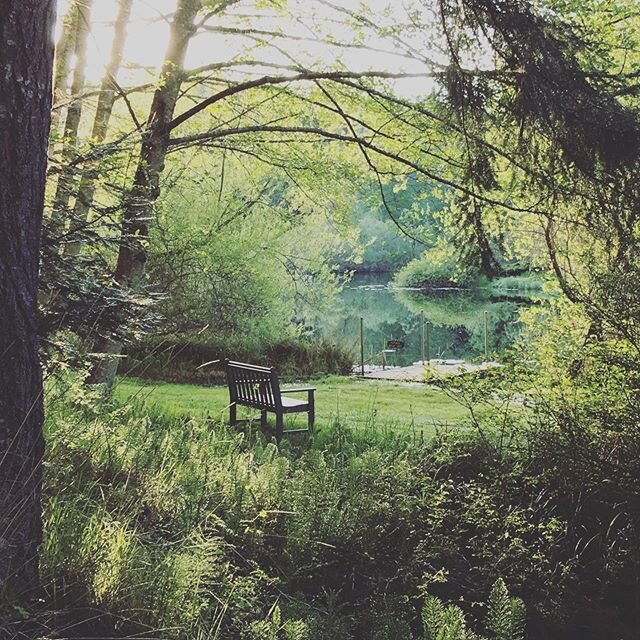 The Victorian Valley Chapel offers a variety of surrounding space to meditate, pray, visualize and sit in the spacious stillness of nature. #victorianvalleychapel #chapel #wedding #weddingvenue #orcasisland #weddingplanning #retreatspace #sacredspace