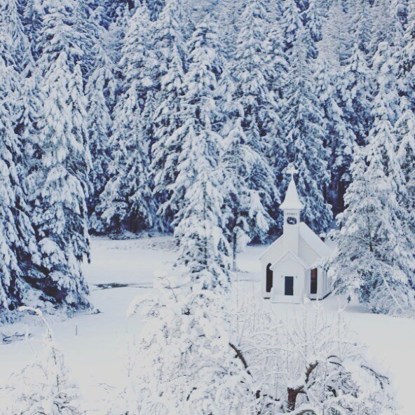 Recently, Orcas Island was immersed in a blanket of soft, white snow. Usually, the snowfall arrives in February but the early January fall was a special treat and brought the chapel magic to life in special ways. ✨
#wedding #snowwhite #fairytaleweddi