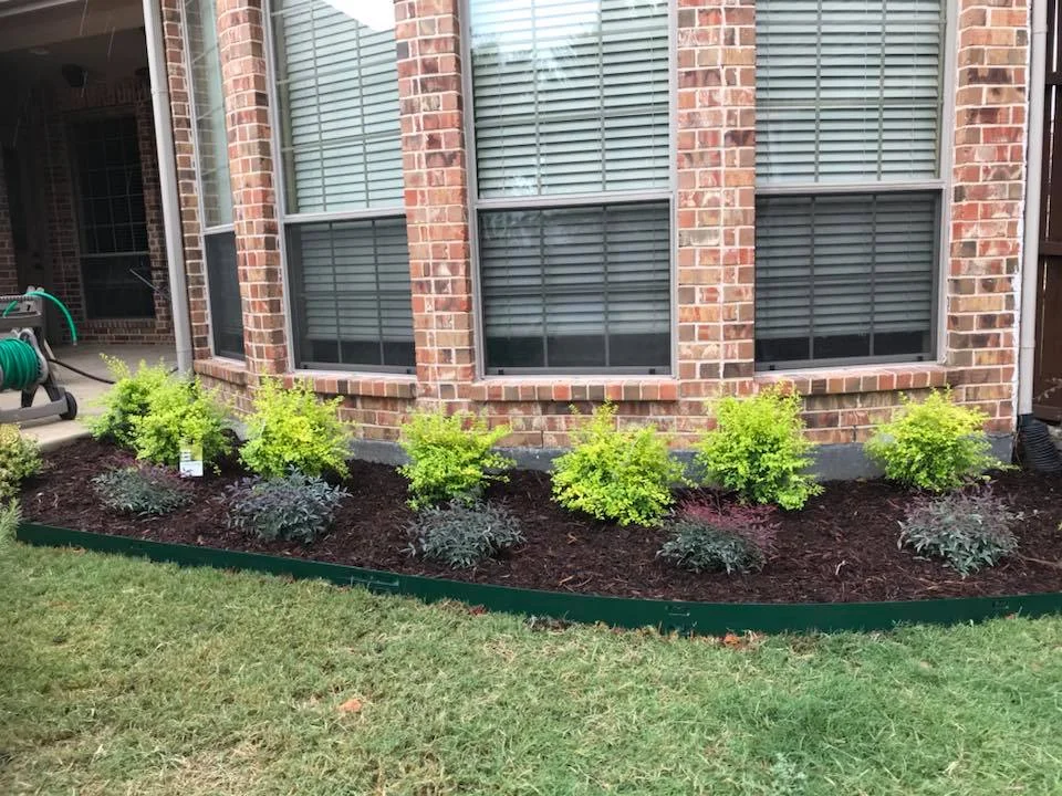 Planter / Flower Beds