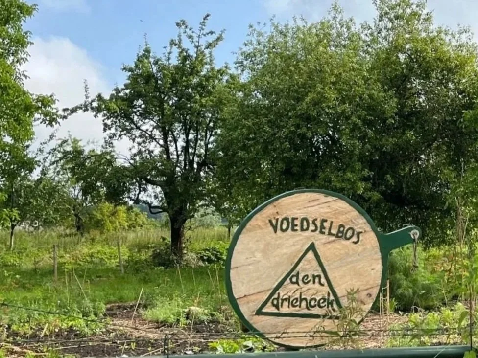 Den Driehoek