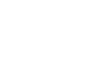 Lithia Forensics &amp; Consulting