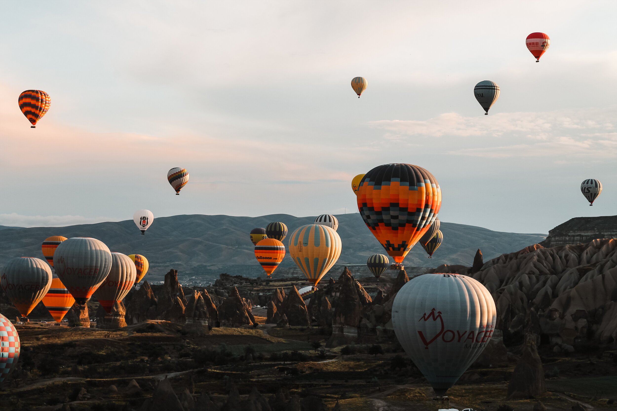 You need a lot of fortitude to get your ideas to take flight— and when you do (I know you will) don’t forget to celebrate.